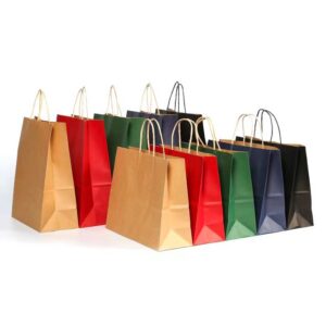 Colored Paper Shopping Bags with Twisted Handles
