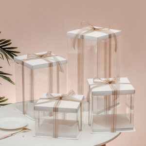 Clear Cylindrical Cake Boxes with Matching Lids