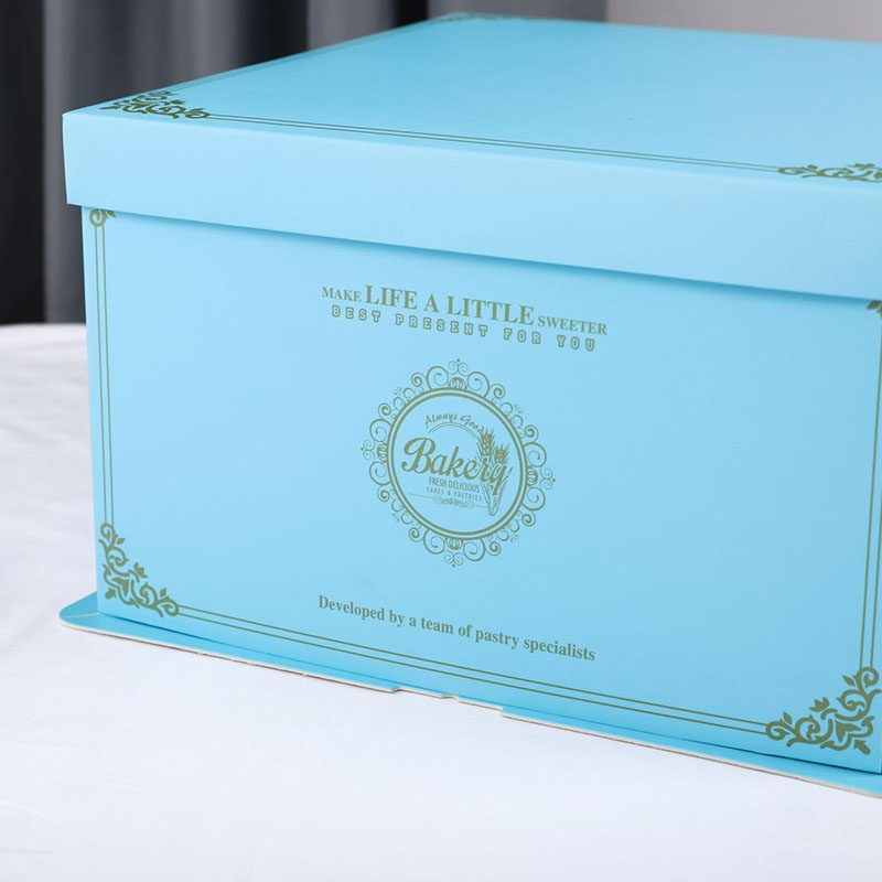 Clear Panel Cake Boxes with Colored Frames