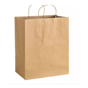 Natural Kraft Shopping Bags with Twisted Handles