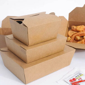 Plain Kraft Fried Chicken Takeaway Boxes