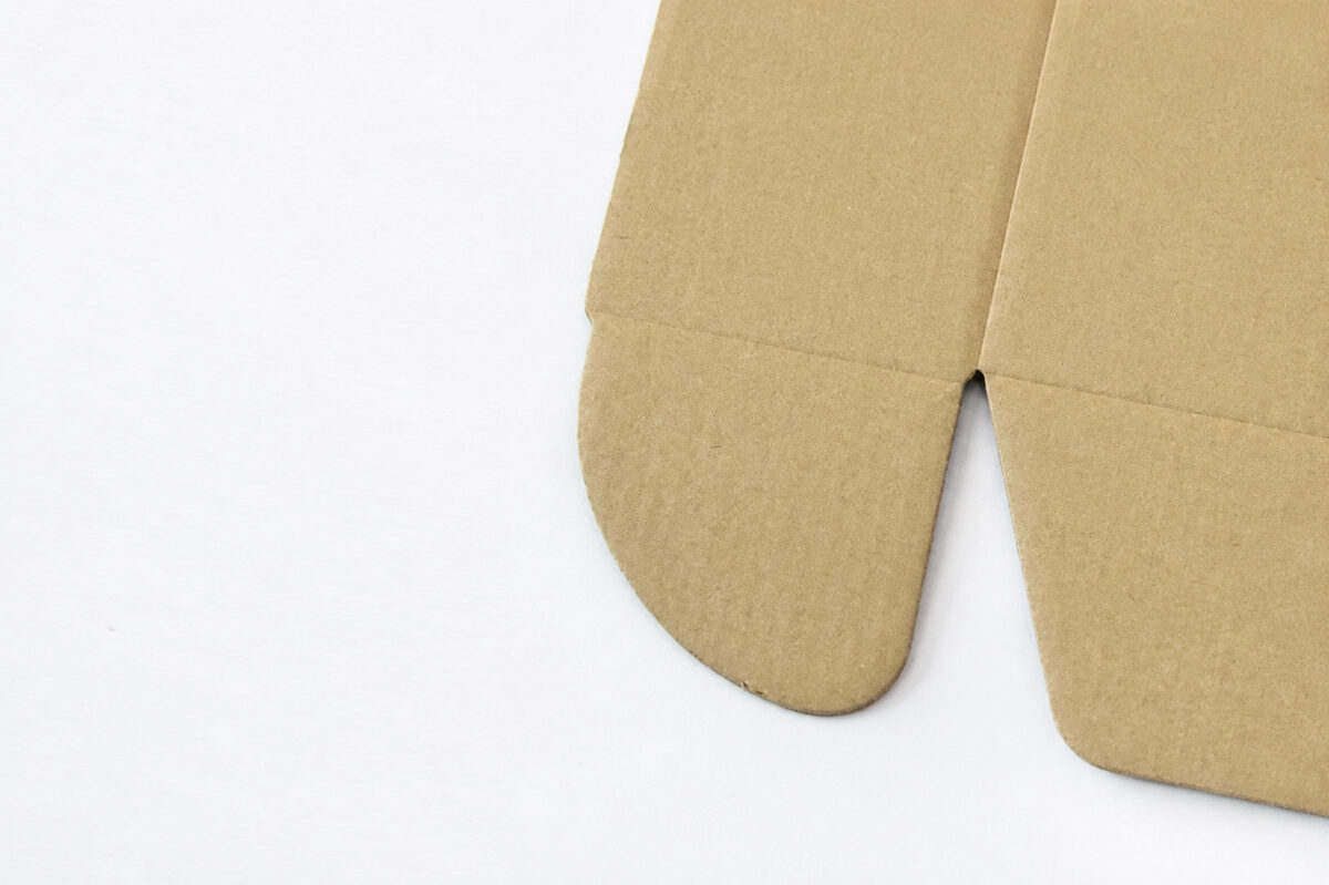 Rounded die-cut tabs and crease lines on a flat kraft cardboard blank